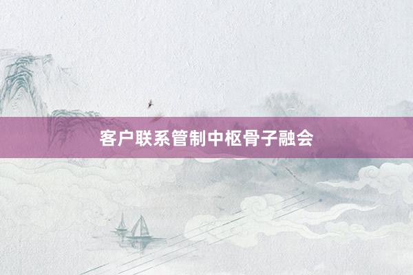 客户联系管制中枢骨子融会