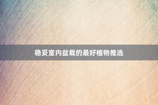 稳妥室内盆栽的最好植物推选