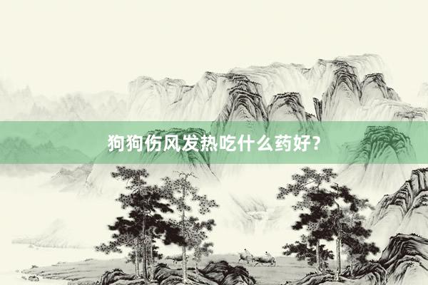 狗狗伤风发热吃什么药好？
