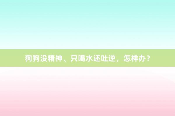 狗狗没精神、只喝水还吐逆，怎样办？