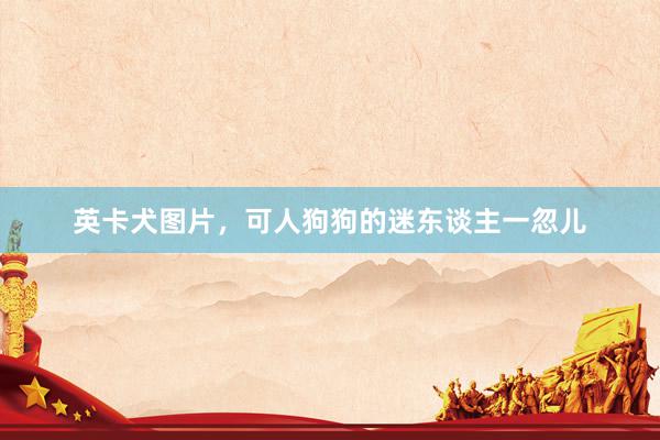 英卡犬图片，可人狗狗的迷东谈主一忽儿